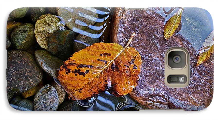 Leaves Galaxy S7 Case featuring the photograph Leaves Rocks Shadows by Bill Owen