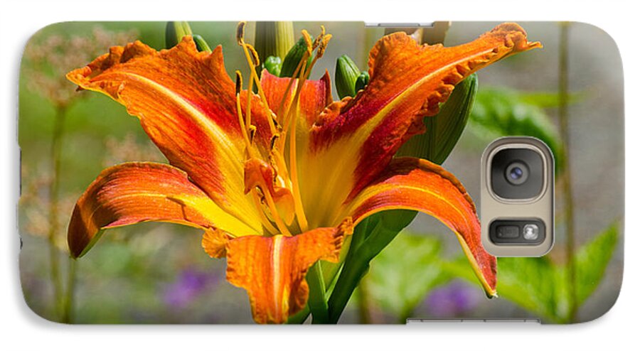 Red Galaxy S7 Case featuring the photograph Orange Day Lily by Tikvah's Hope