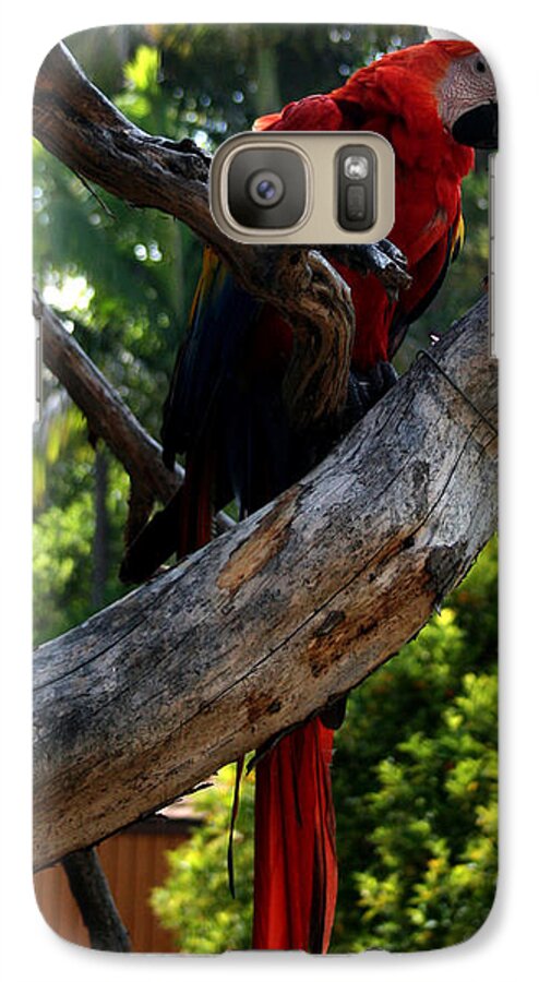 Bird Galaxy S7 Case featuring the photograph Parrot2 by Karen Harrison Brown
