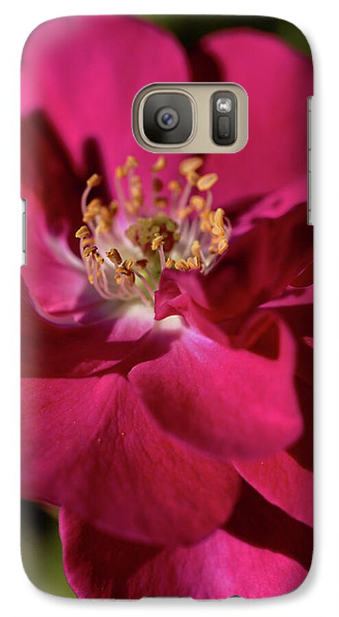 Rose Galaxy S7 Case featuring the photograph Pink of Rose by Joy Watson