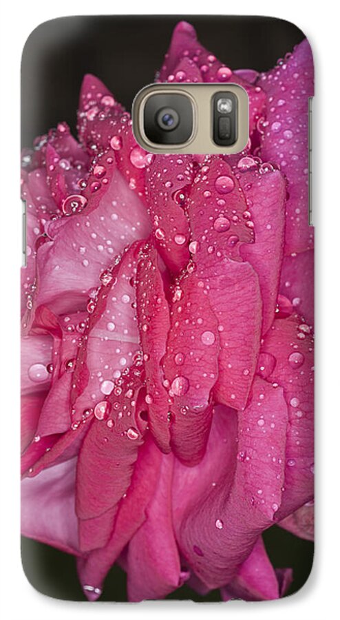 Pink Rose Galaxy S7 Case featuring the photograph Pink Rose Wendy Cussons by Steve Purnell