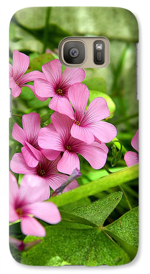 Flower Galaxy S7 Case featuring the photograph Pink Wild Flowers by Ester McGuire