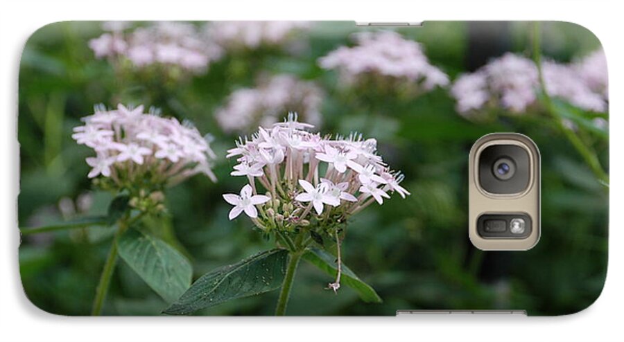 Flower Galaxy S7 Case featuring the photograph Purple Flower by Jennifer Ancker