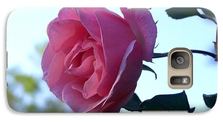 Pink Rose Galaxy S7 Case featuring the photograph Reaching for Sunlight by Kathy White