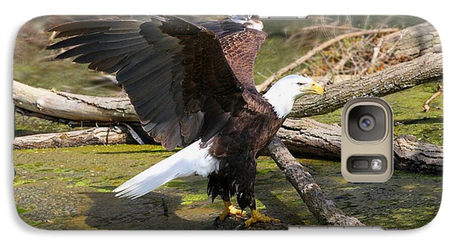 Eagle Galaxy S7 Case featuring the photograph Soaring Eagle by Elizabeth Winter
