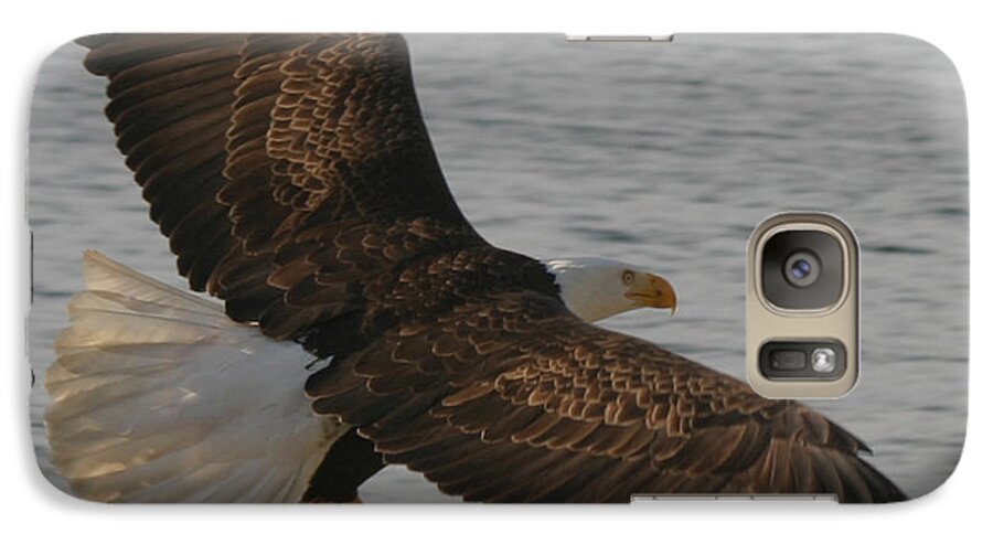 Bald Eagle Flying In Puget Sound Galaxy S7 Case featuring the photograph Spread Eagle by Kym Backland