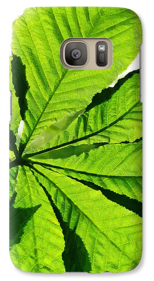 Leaf Galaxy S7 Case featuring the photograph Sun on a Horse Chestnut Leaf by Steve Taylor