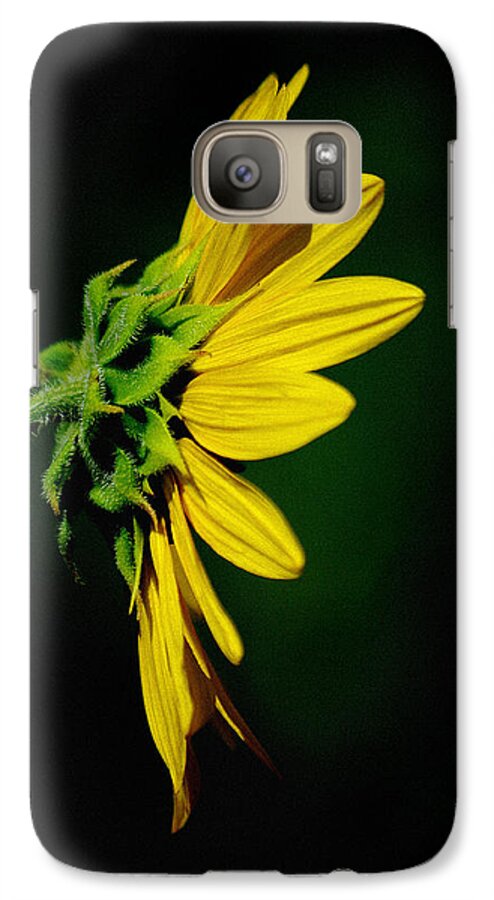 Sunflower Galaxy S7 Case featuring the photograph Sunflower in Profile by Vicki Pelham