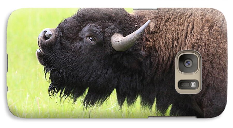 Buffalo Galaxy S7 Case featuring the photograph Tatanka by Kate Purdy