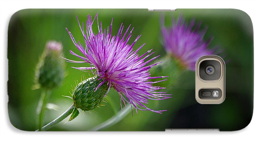 Photograph Galaxy S7 Case featuring the photograph Thistle Dance by Vicki Pelham