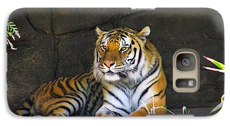 Tiger Canvas Prints Galaxy S7 Case featuring the photograph Tiger Life by Wendy McKennon
