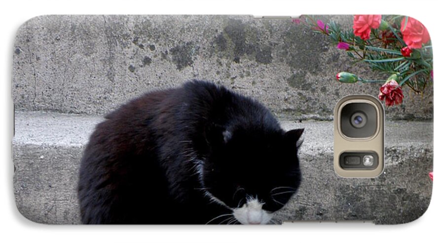 Cat Galaxy S7 Case featuring the photograph Washing Up by Lainie Wrightson