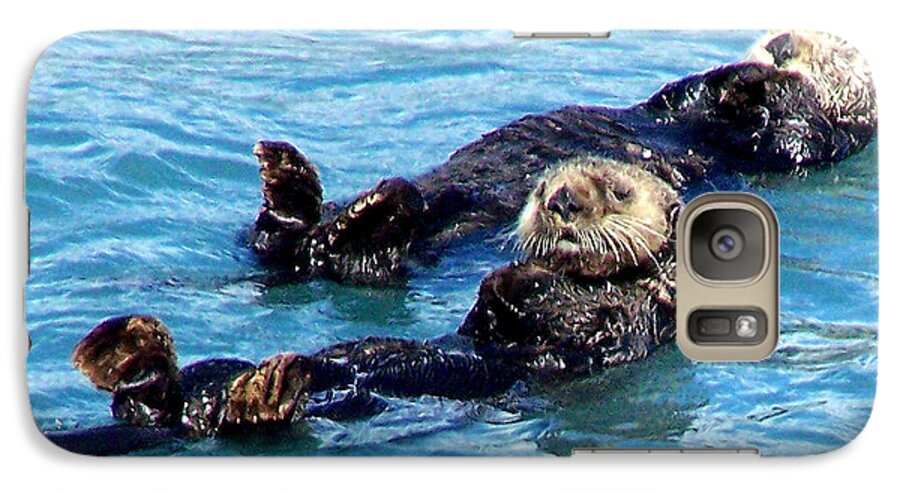 Sea Otters Galaxy S7 Case featuring the photograph Whatchu Looking At by Kathy White
