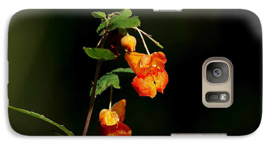 Landscape Galaxy S7 Case featuring the photograph Wild Beauty by Ramabhadran Thirupattur