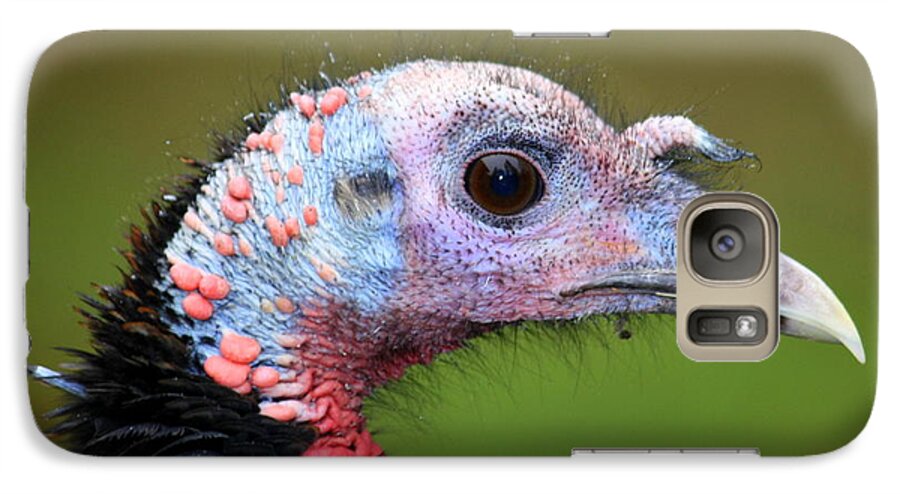 Wild Turkey Galaxy S7 Case featuring the photograph Wild Turkey by Patrick Witz
