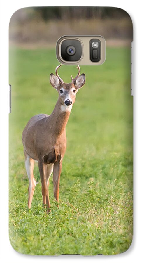 White Tailed Deer Galaxy S7 Case featuring the photograph Young Buck by Art Whitton
