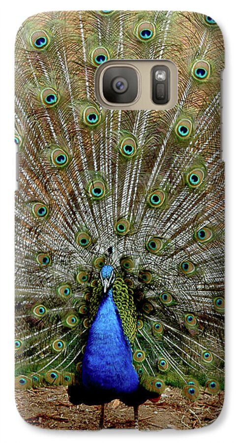 Usa Galaxy S7 Case featuring the photograph Iridescent blue-green plumage by LeeAnn McLaneGoetz McLaneGoetzStudioLLCcom