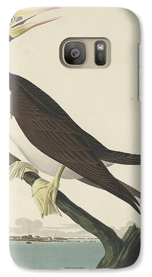 Audubon Galaxy S7 Case featuring the drawing Booby Gannet #1 by Dreyer Wildlife Print Collections 