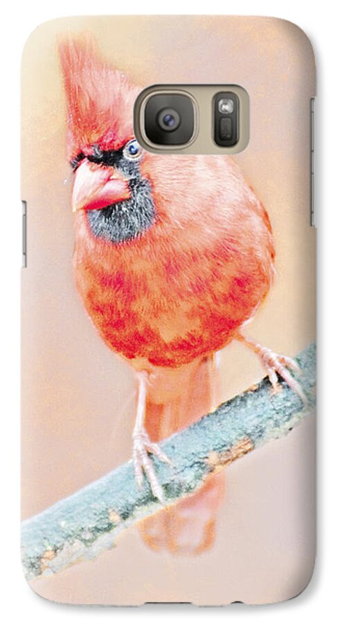 Cardinalis Cardinalis Galaxy S7 Case featuring the photograph Cardinal Male #1 by A Macarthur Gurmankin