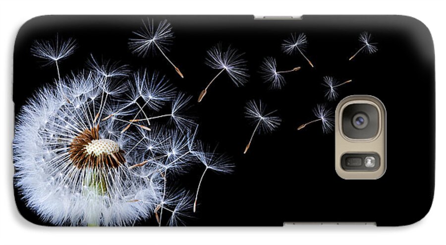 Abstract Galaxy S7 Case featuring the photograph Dandelion on black background #1 by Bess Hamiti