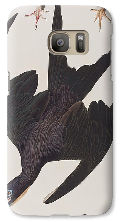 Frigate Pelican Galaxy S7 Case featuring the painting Frigate Pelican by John James Audubon