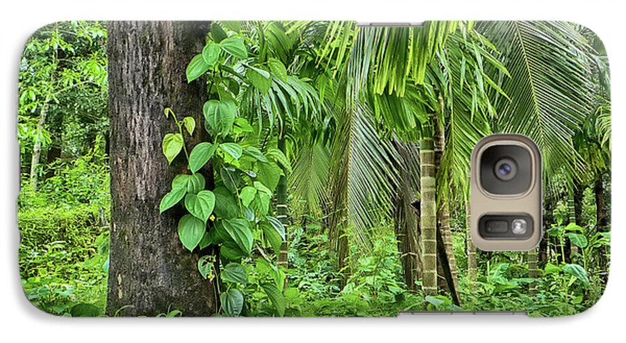 Trees Galaxy S7 Case featuring the photograph Nature 7 #1 by Charuhas Images
