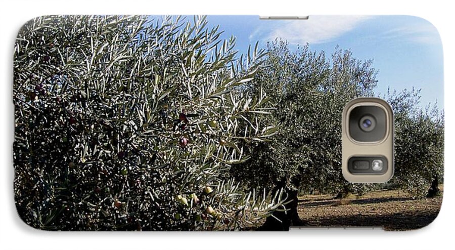 Olive Galaxy S7 Case featuring the photograph Olive Trees #1 by Judy Kirouac