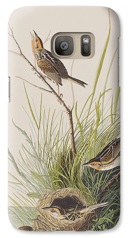 Finch Galaxy S7 Case featuring the painting Sharp Tailed Finch by John James Audubon
