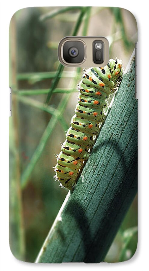 Papilio Machaon Galaxy S7 Case featuring the photograph Swallowtail Caterpillar #1 by Meir Ezrachi