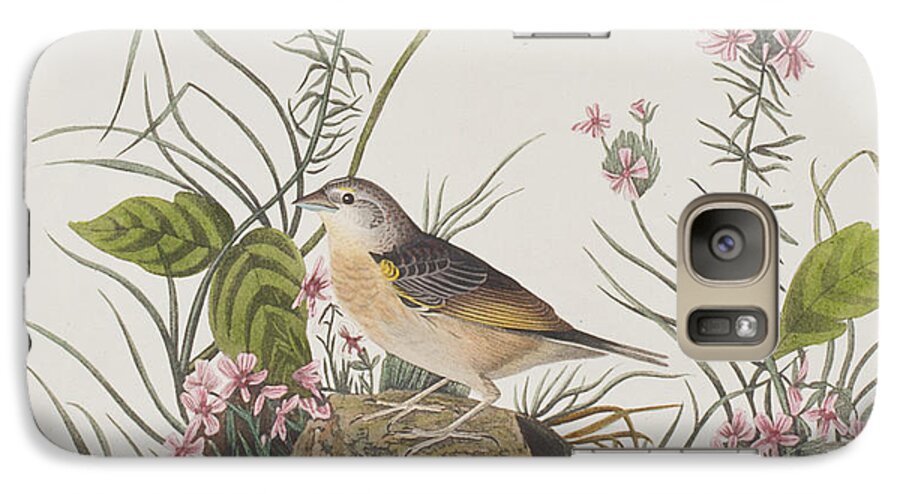 Sparrow Galaxy S7 Case featuring the painting Yellow-winged Sparrow by John James Audubon