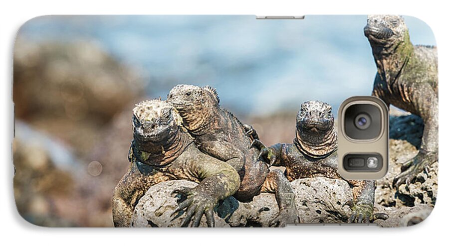 Marine Iguana Galaxy S7 Case featuring the photograph Marine Iguana on Galapagos Islands #14 by Marek Poplawski