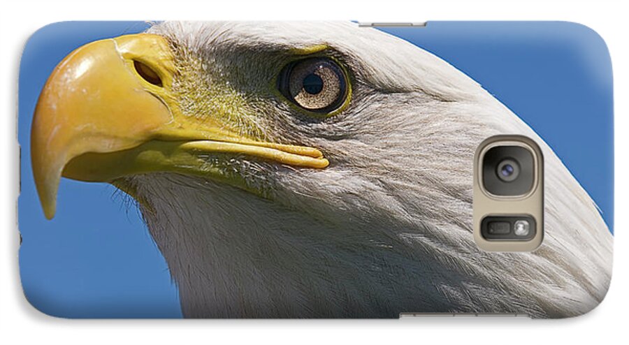 Bald Eagle Galaxy S7 Case featuring the photograph Bald Eagle #2 by JT Lewis