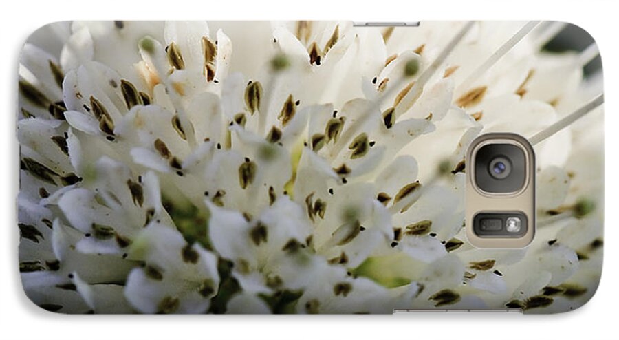 Buttom Bush Galaxy S7 Case featuring the photograph Buttom Bush #1 by Perla Copernik