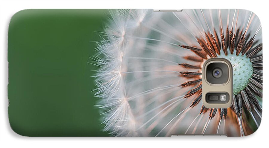 Abstract Galaxy S7 Case featuring the photograph Dandelion #2 by Bess Hamiti