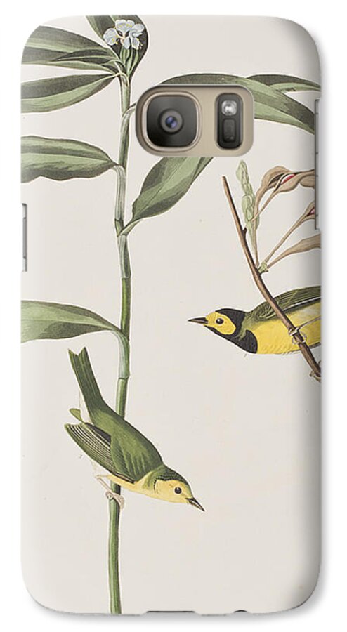Hooded Warbler Galaxy S7 Case featuring the painting Hooded Warbler by John James Audubon