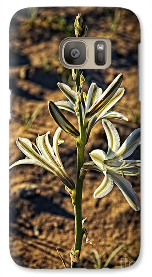 Arizona Galaxy S7 Case featuring the photograph Desert Lily #3 by Robert Bales