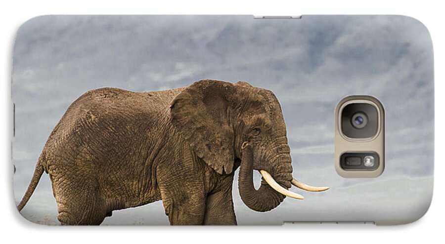 Sandra Bronstein Galaxy S7 Case featuring the photograph A Gentle Giant by Sandra Bronstein