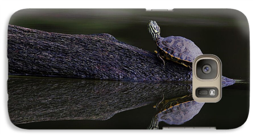Water Galaxy S7 Case featuring the photograph Abstract Turtle by Douglas Stucky