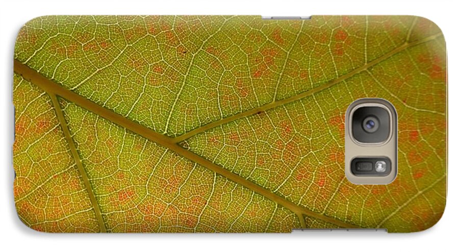 An Autumn Leaf Galaxy S7 Case featuring the photograph An Autumn Leaf by Jean Bernard Roussilhe