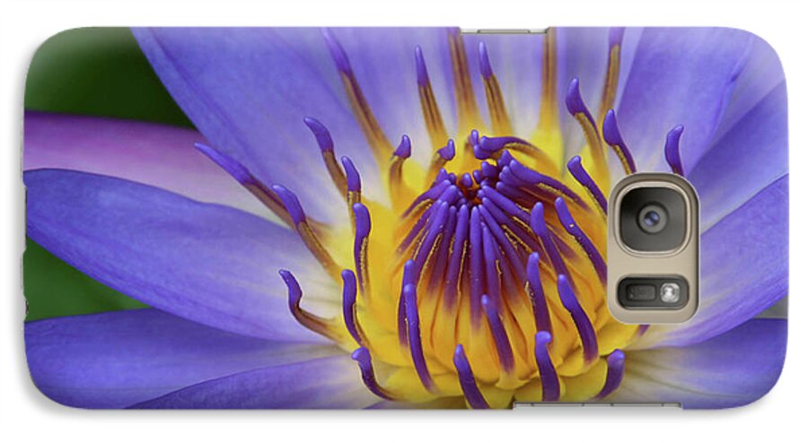 Waterlily Galaxy S7 Case featuring the photograph The Lotus Flower by Sharon Mau