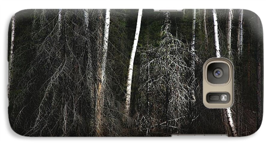 Forest Galaxy S7 Case featuring the photograph At the Edge of the Forest by Jim Vance