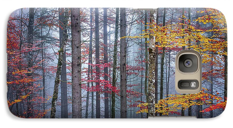 Forest Galaxy S7 Case featuring the photograph Autumn forest in fog by Elena Elisseeva