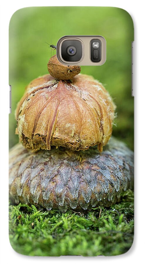 Balance With Nature Galaxy S7 Case featuring the photograph Balance With Nature by Dale Kincaid
