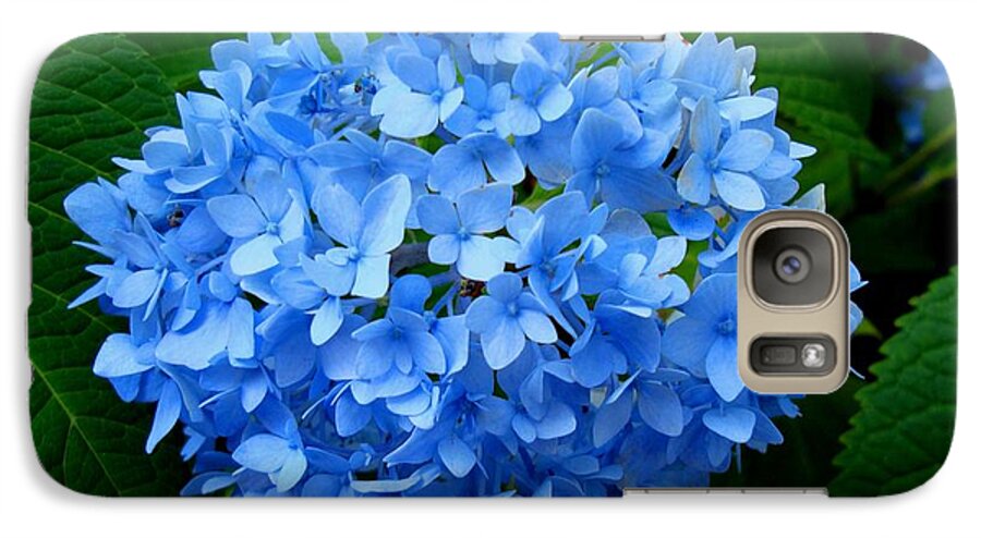 Hydrangea Galaxy S7 Case featuring the photograph Ball of Blue by Michiale Schneider