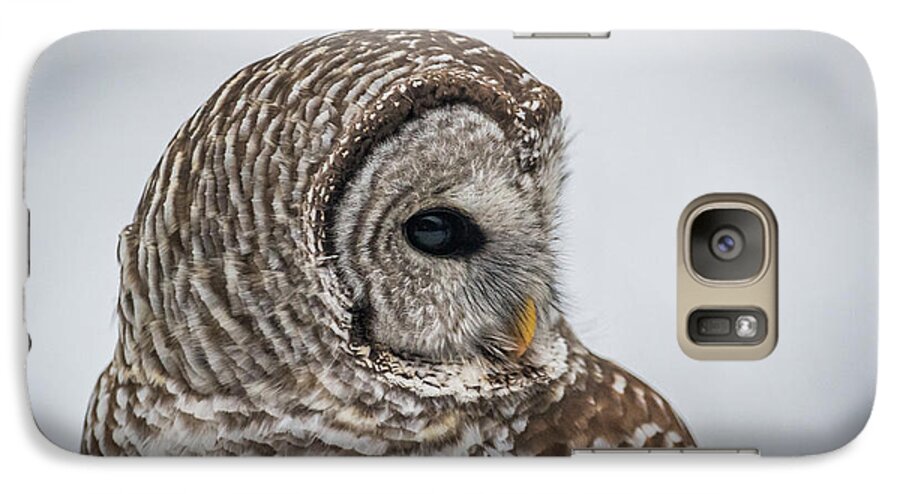 Barred Owl Galaxy S7 Case featuring the photograph Barred Owl portrait by Paul Freidlund