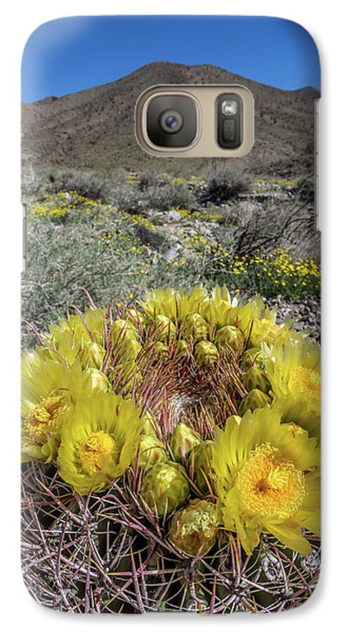 Anza-borrego Desert Galaxy S7 Case featuring the photograph Barrel Cactus Super Bloom by Peter Tellone