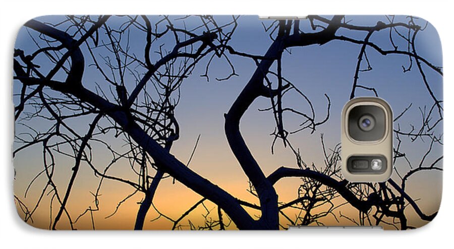 Tree Galaxy S7 Case featuring the photograph Barren Tree at Sunset by Lori Seaman