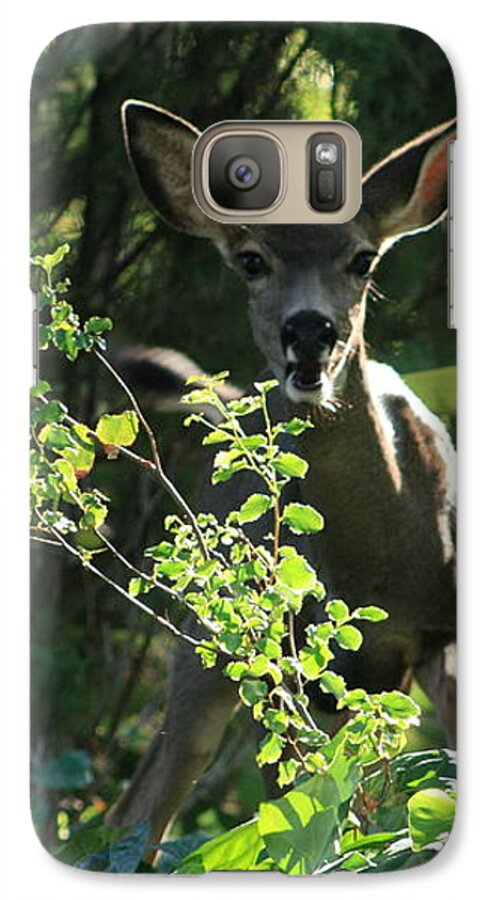 Beverly Hills Galaxy S7 Case featuring the photograph Beverly Hills Deer by Marna Edwards Flavell