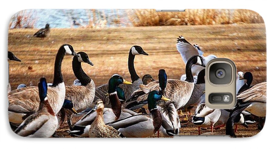 Canadian Geese Galaxy S7 Case featuring the photograph Bird Gang Wars by Sumoflam Photography