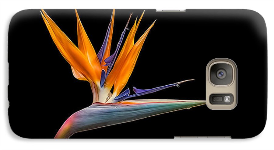 Plant Galaxy S7 Case featuring the photograph Bird of Paradise Flower on Black by Rikk Flohr